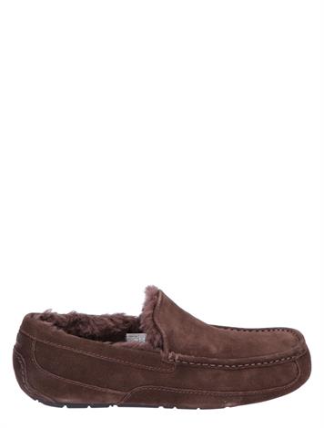 UGG Ascot Dusted Cocoa