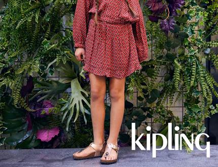 WK18 - Kipling