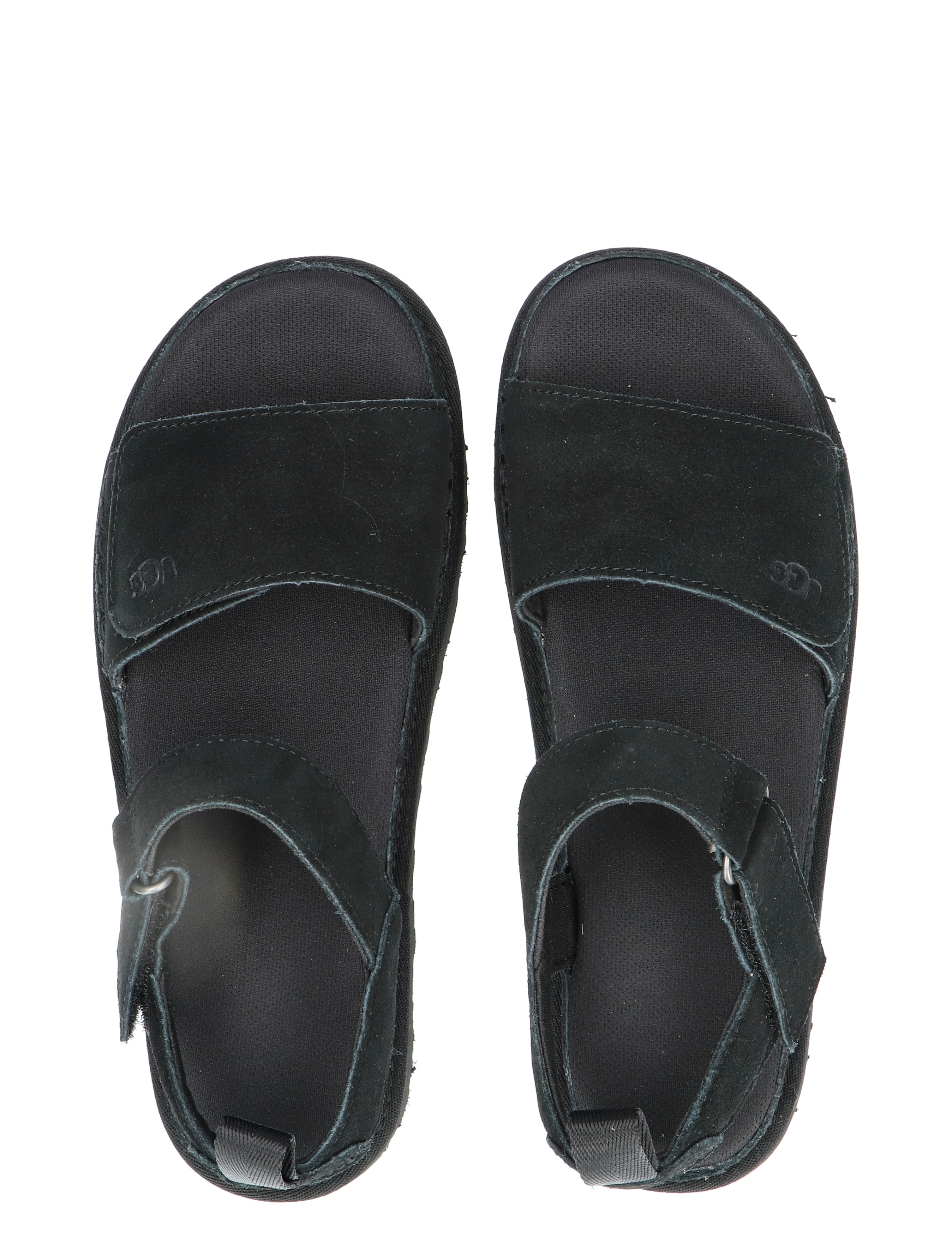 Golden Star Black