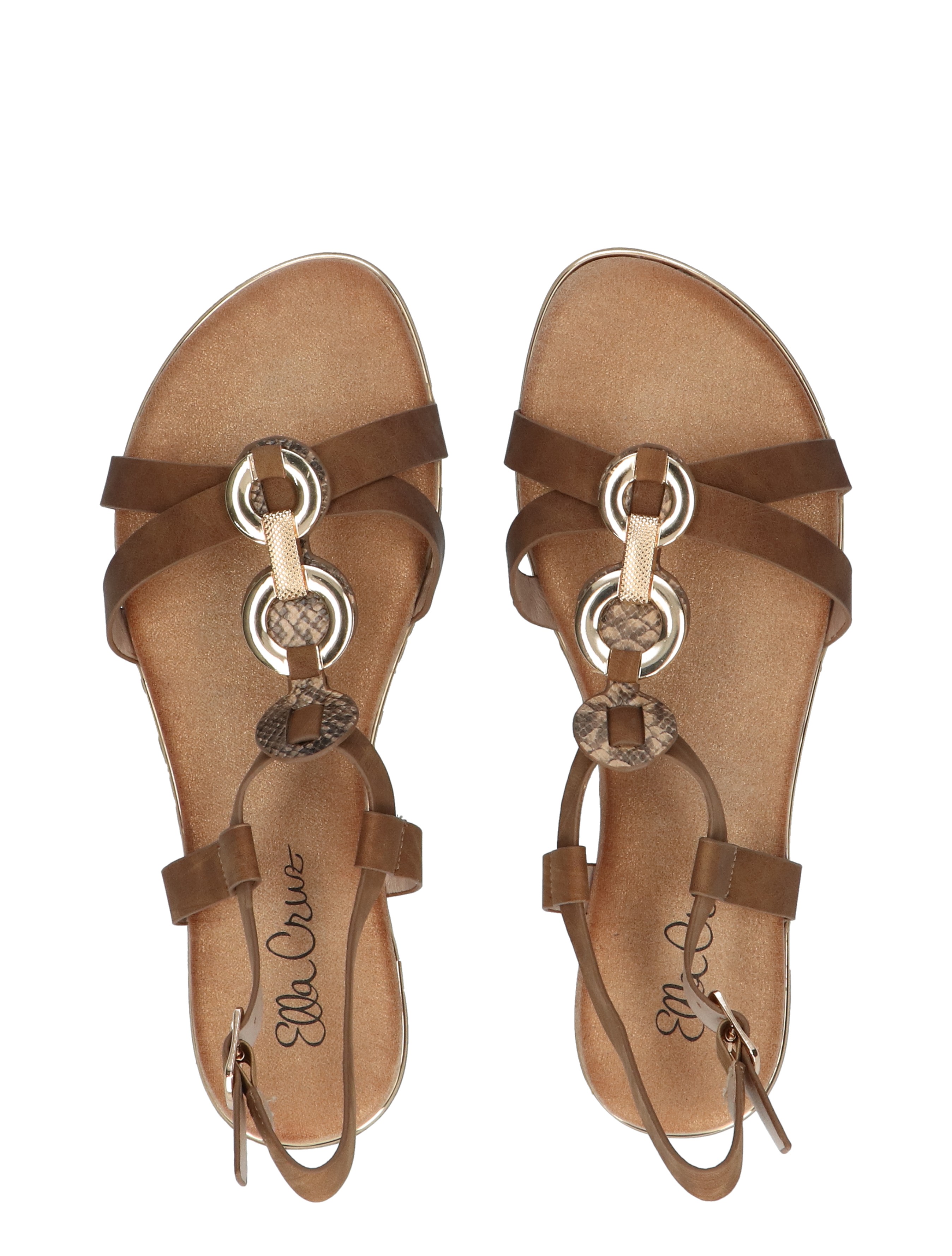 Olga Camel