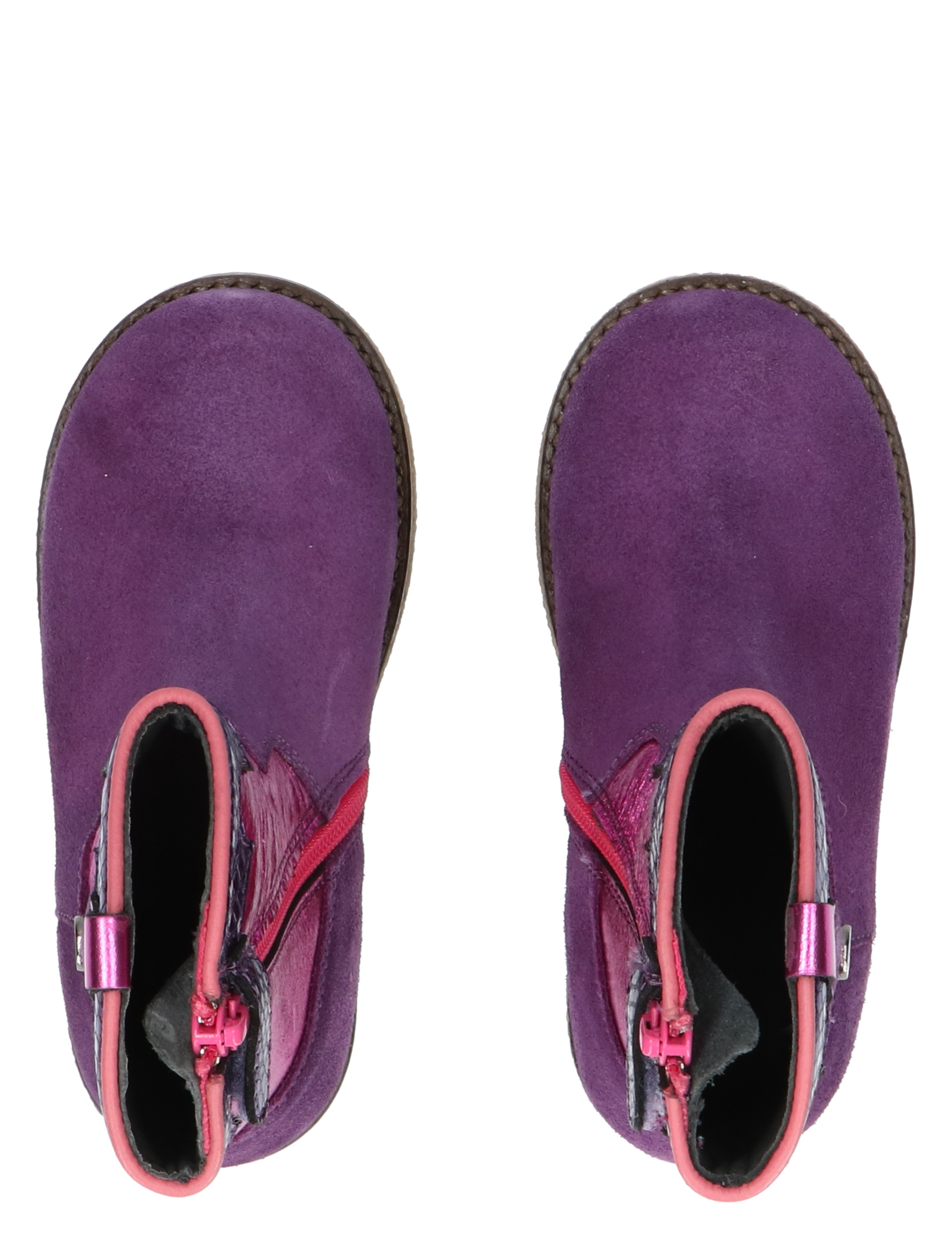 P1141 Purple