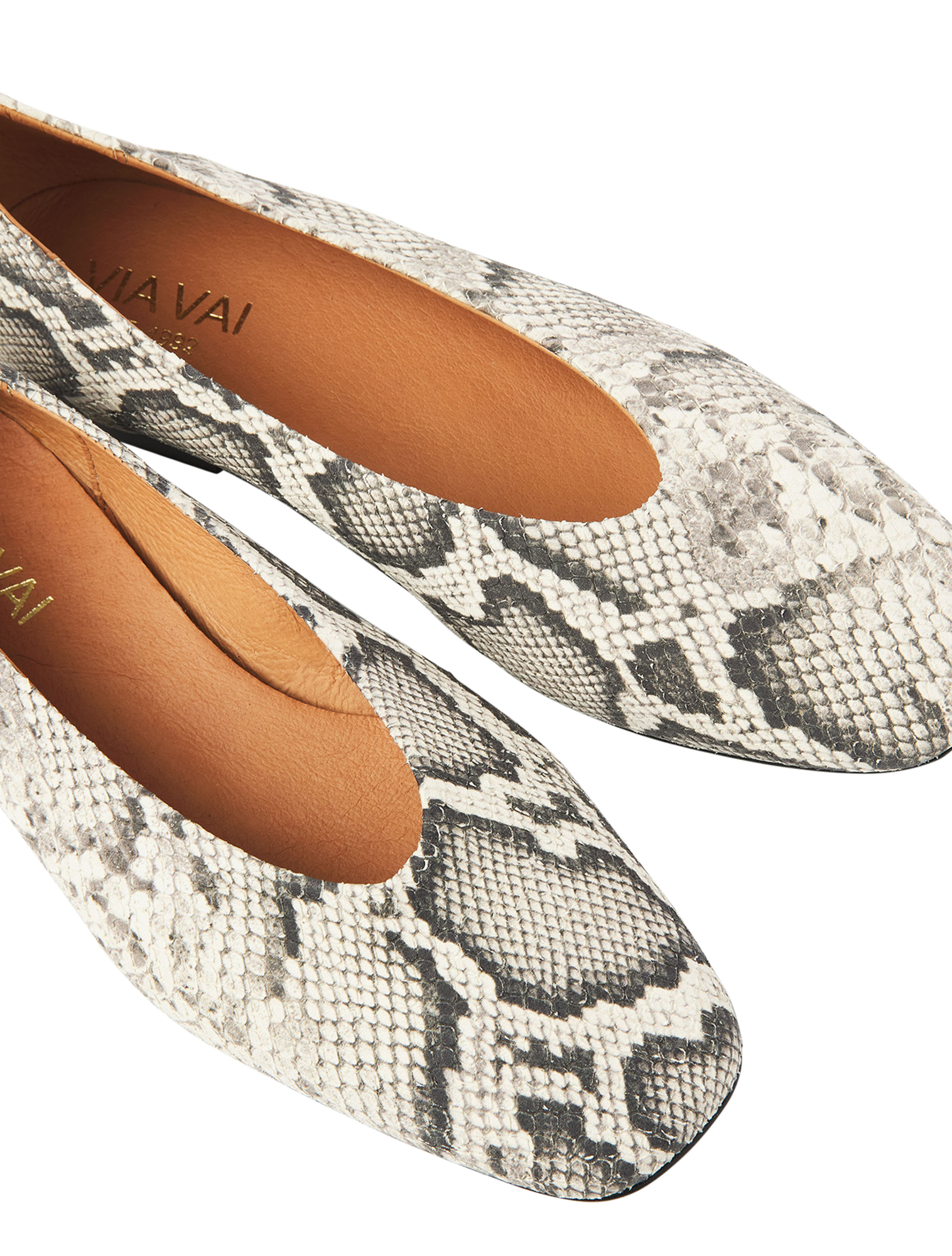 Kleding, Schoeisel, Schoen, Reptiel, Slang