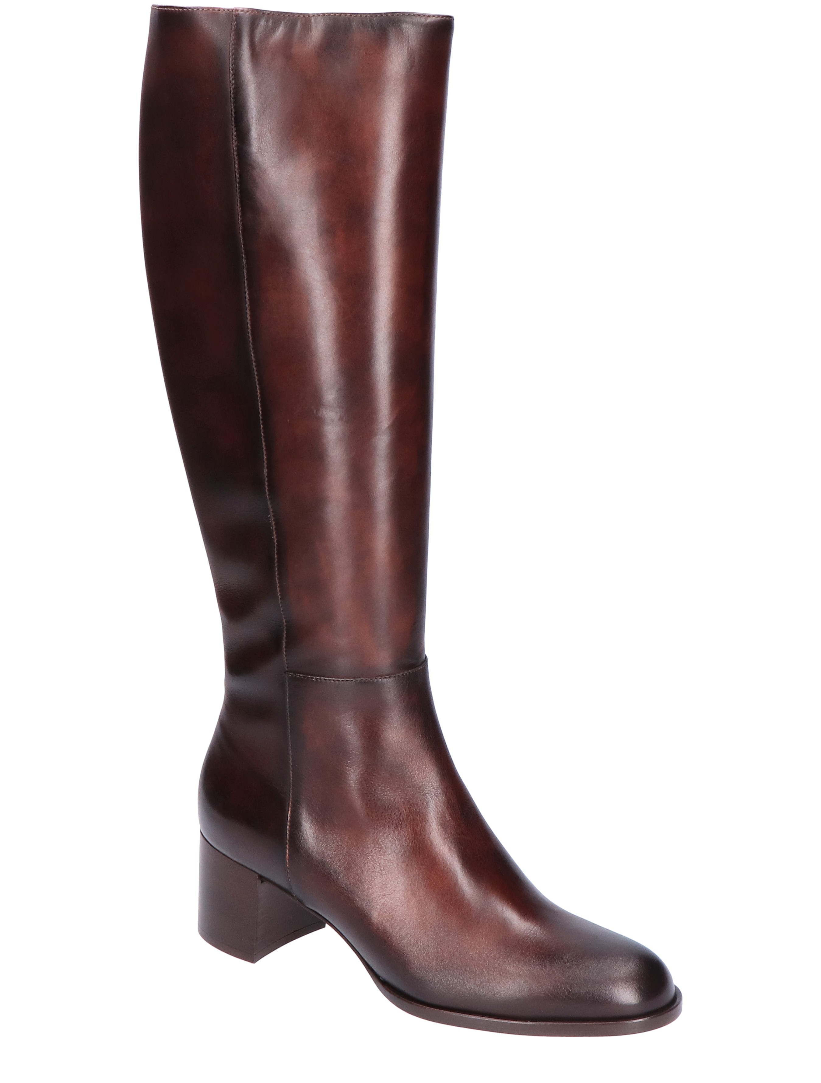 Magnanni - 24903 652 Lady Godello Brown - Dames - Boots - Lange Laarzen - 45882_22_3