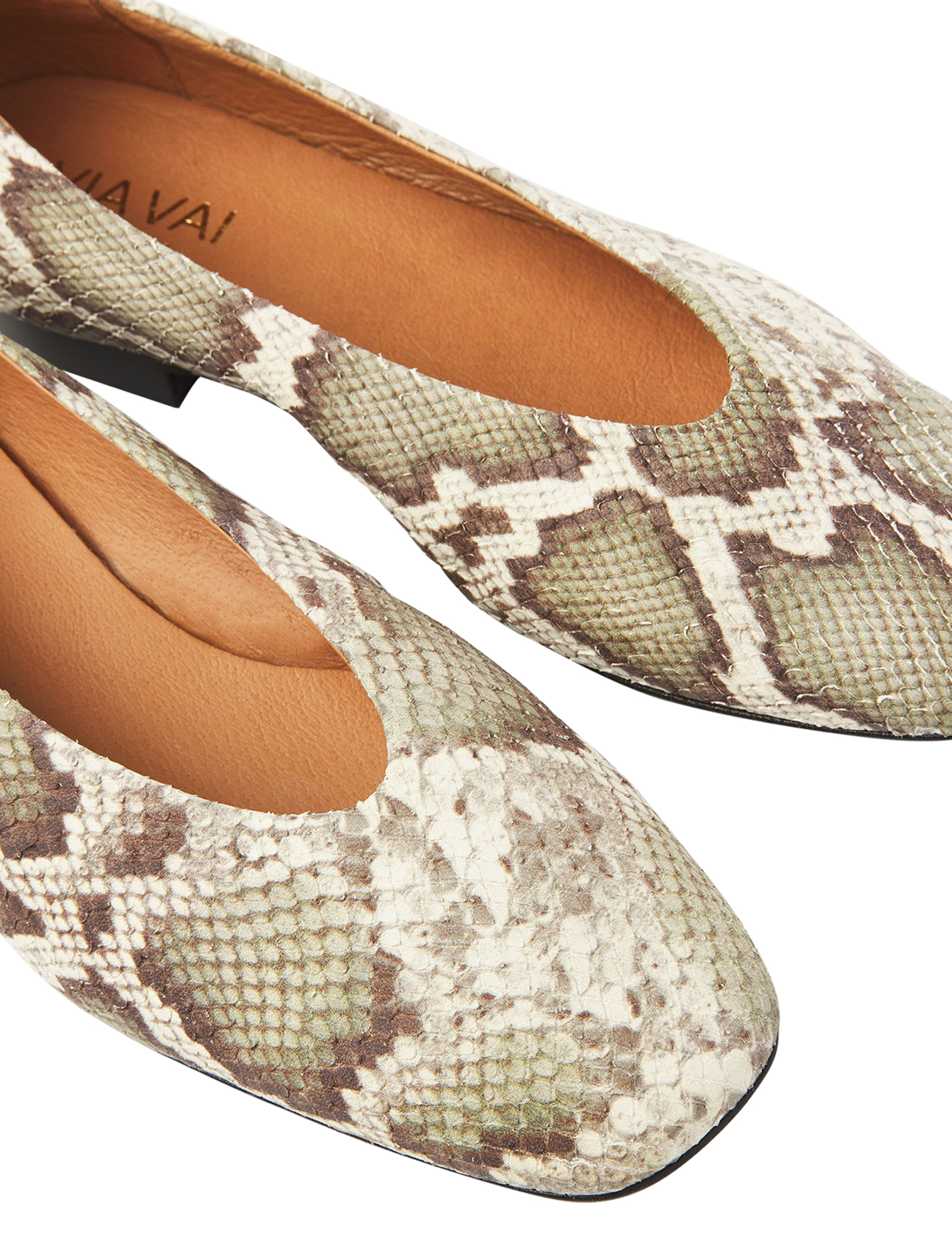 Kleding, Schoeisel, Schoen, Reptiel, Slang