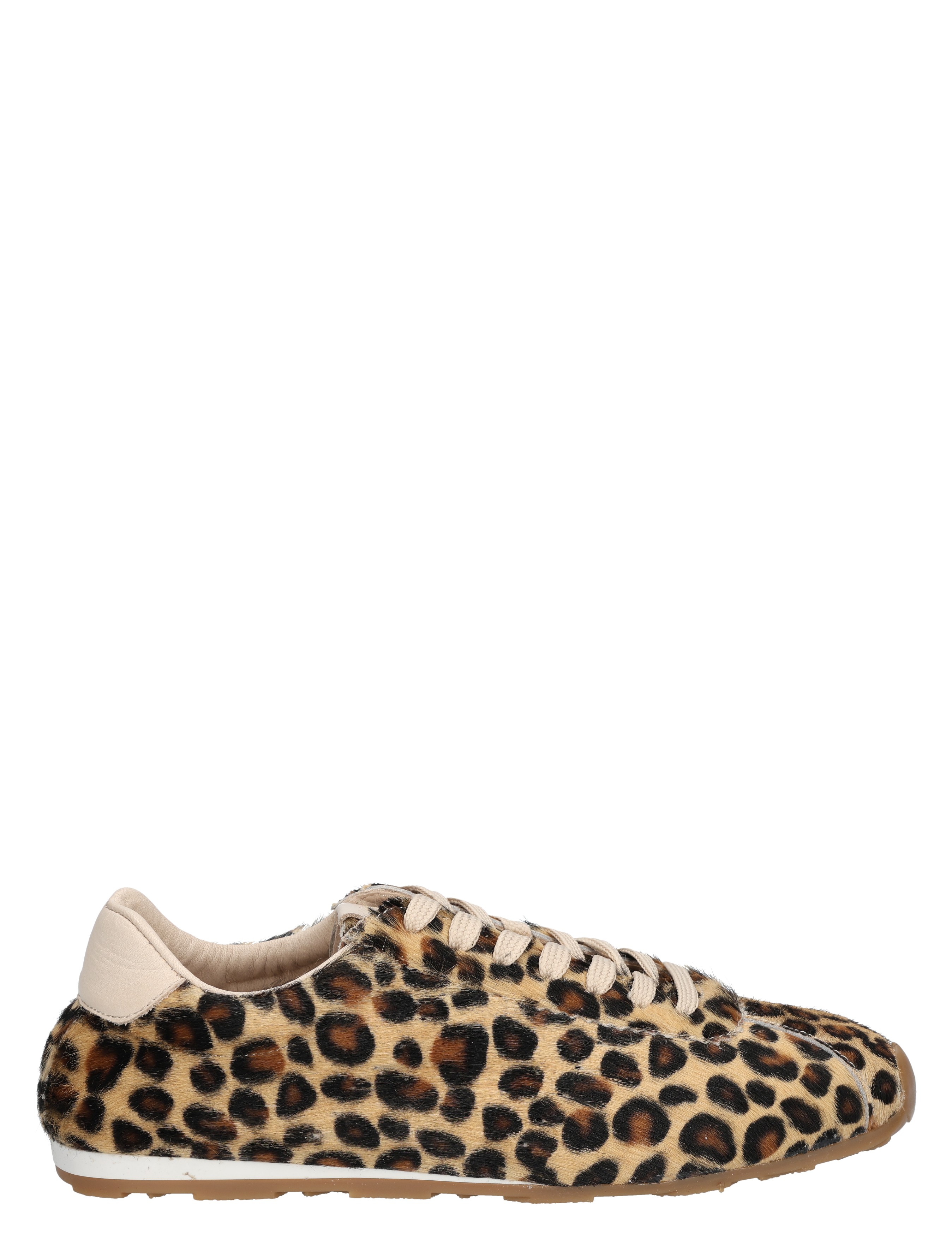 Kleding, Schoeisel, Schoen, Sneaker, Suede
