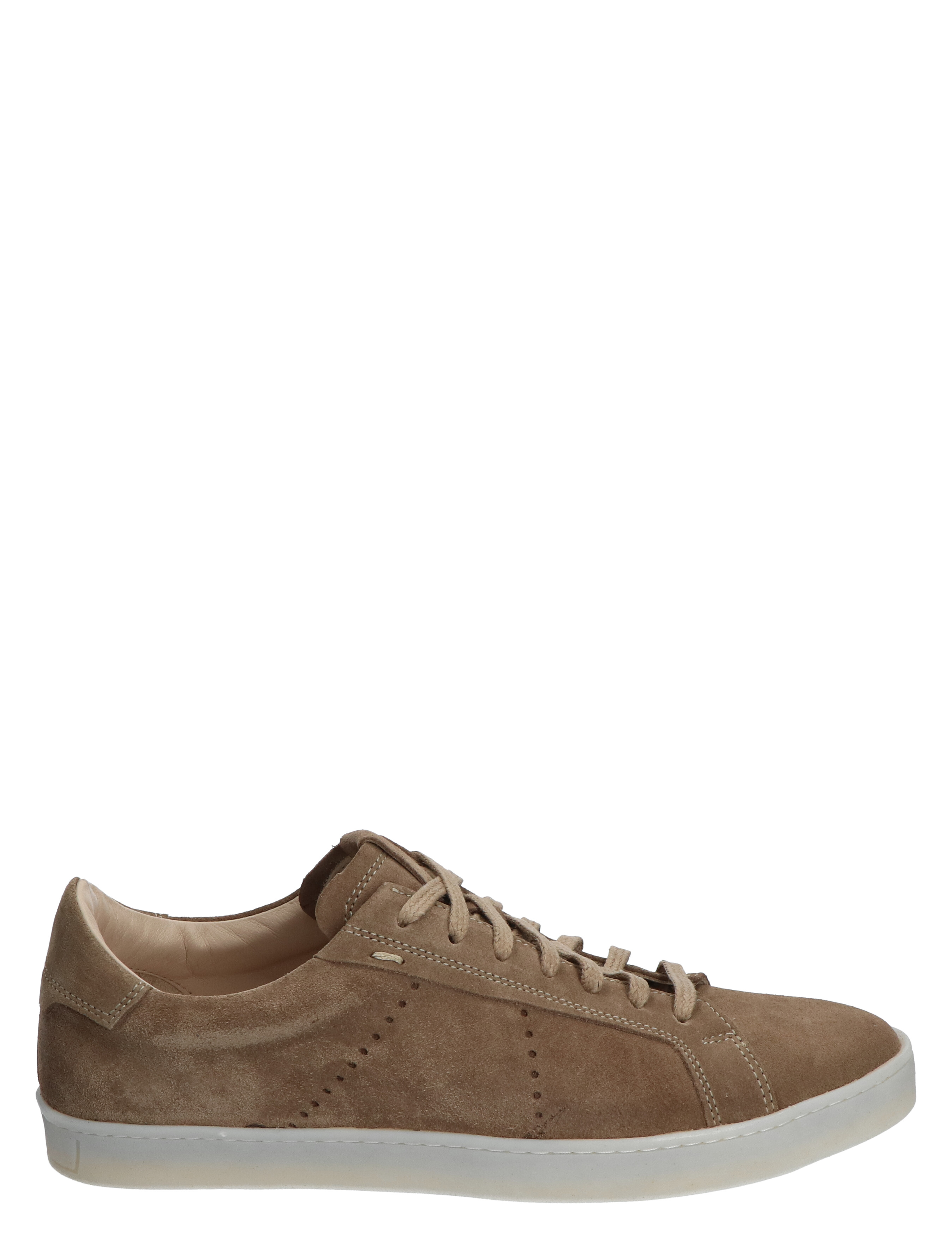 Rover Beige