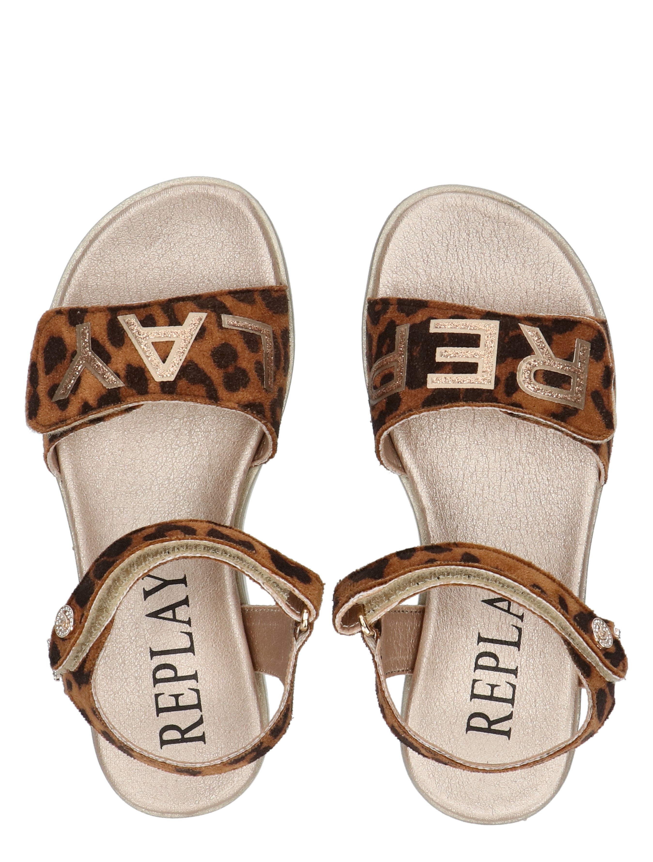 sandalen, leopard, lederen band, rietband, glitterband