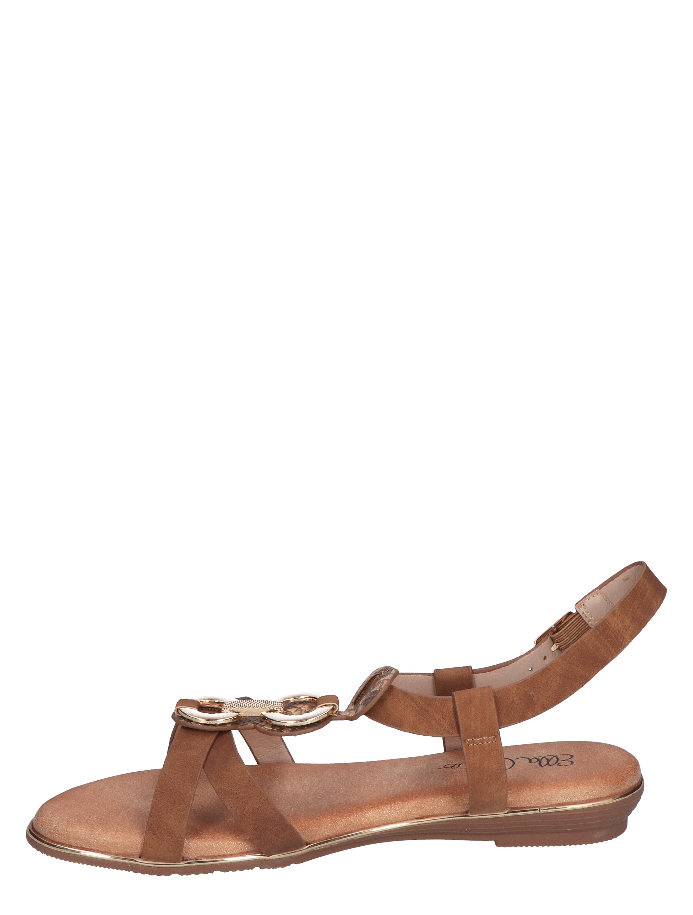 Olga Camel