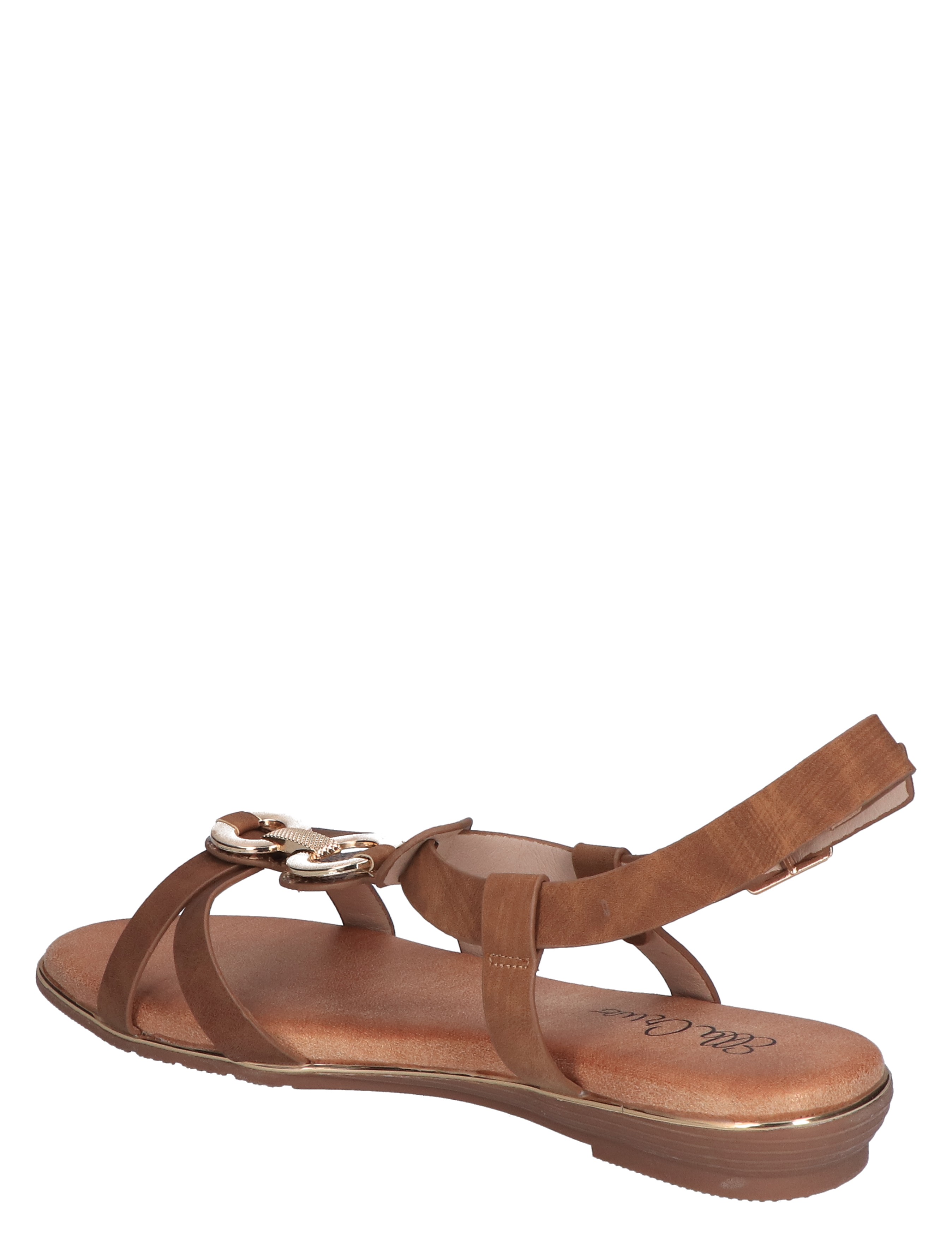 Olga Camel