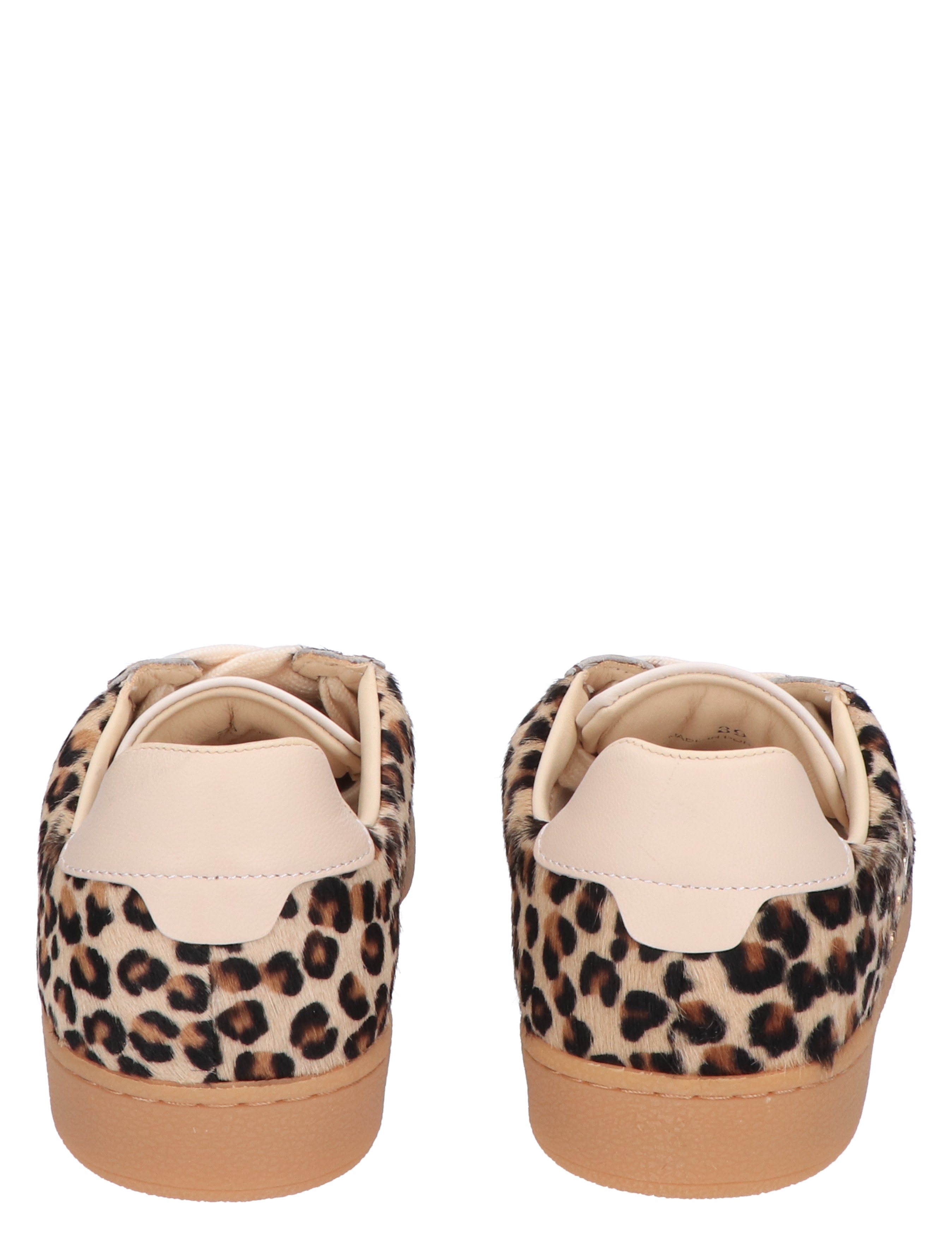 Ray Owen Studs Women Leopard