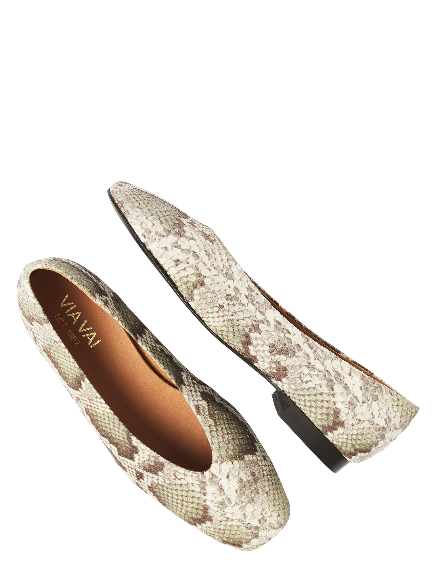 Kleding, Schoeisel, Schoen, Reptiel, Slang