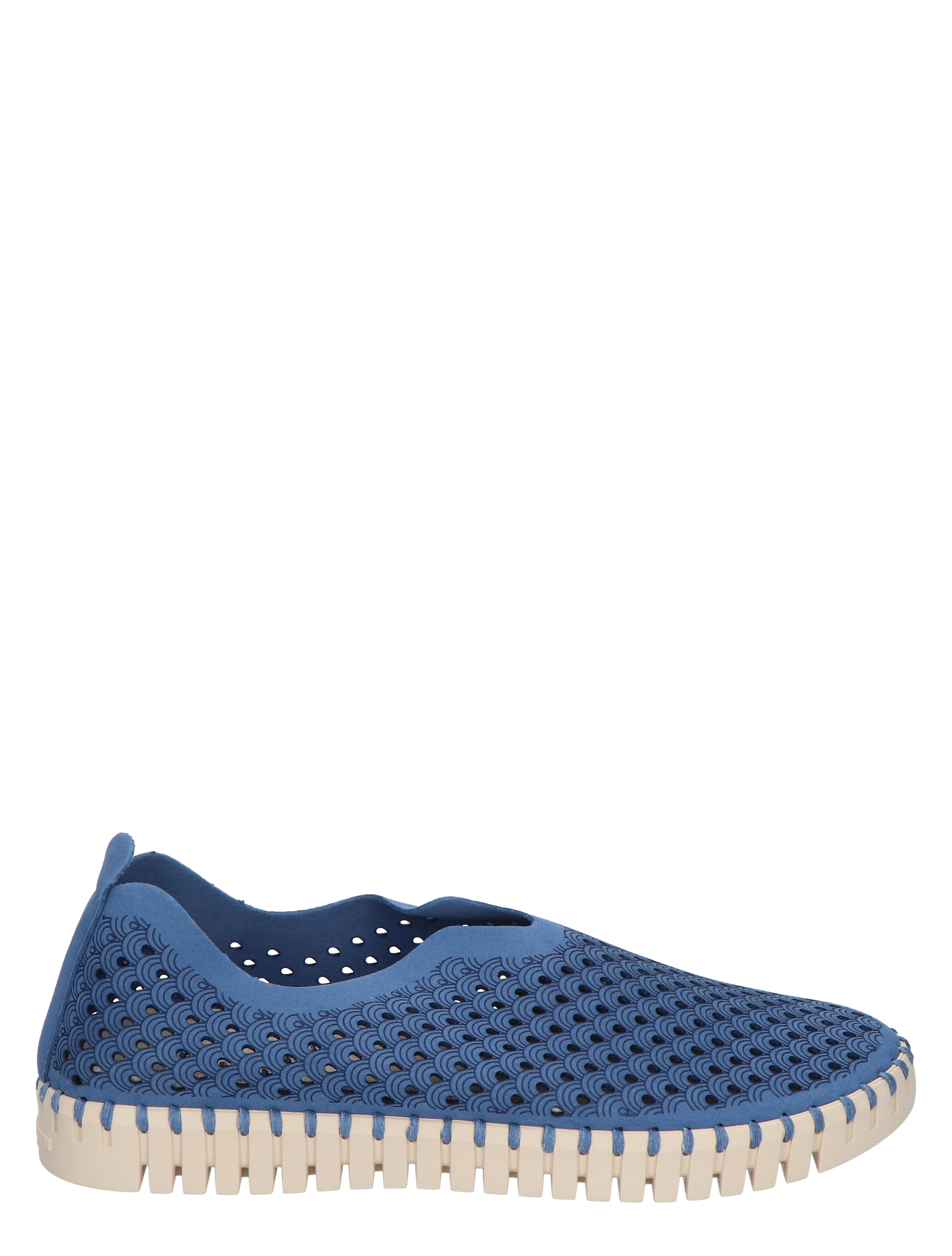 Tulip 3275 656 Light Regatta