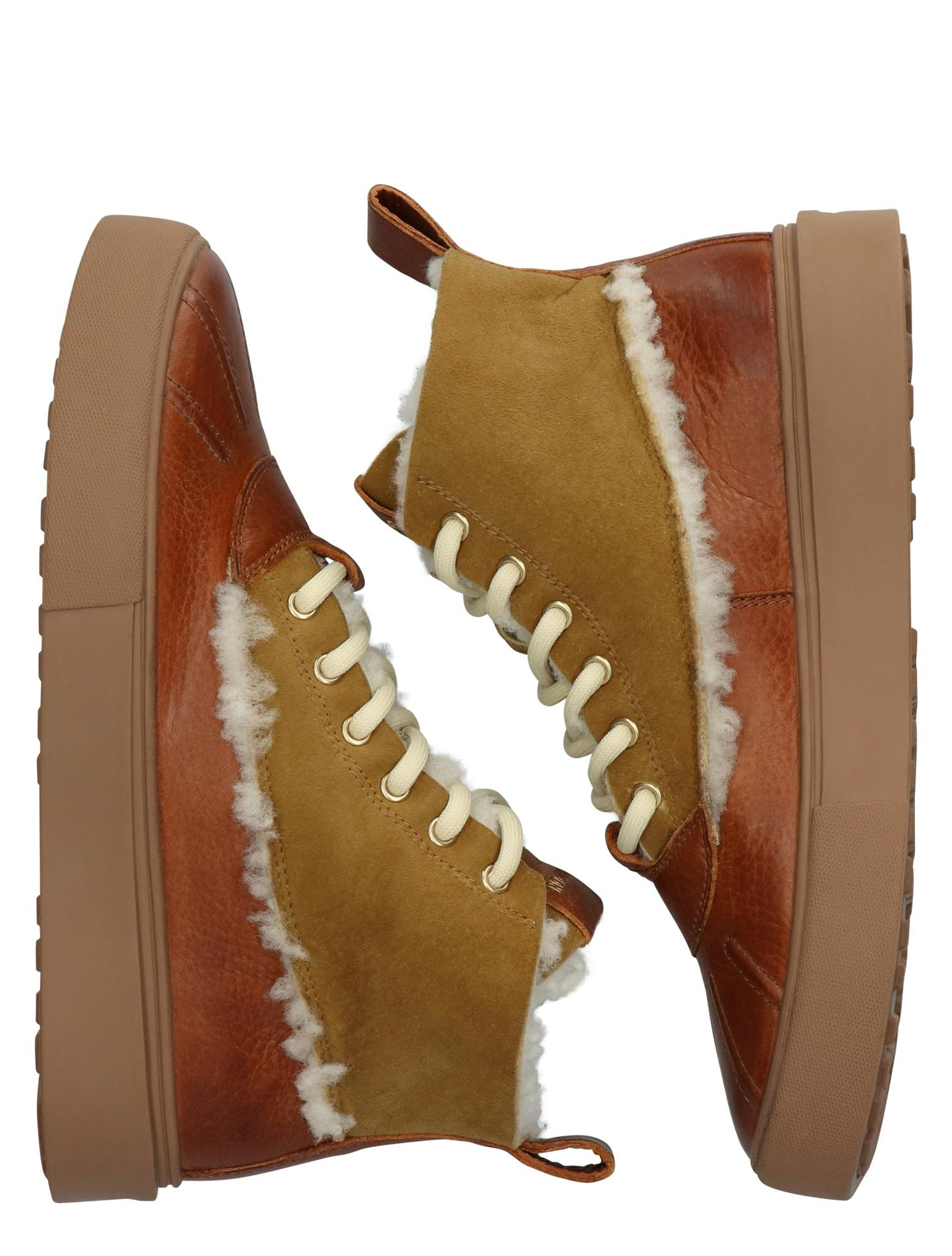 CL206 Brown