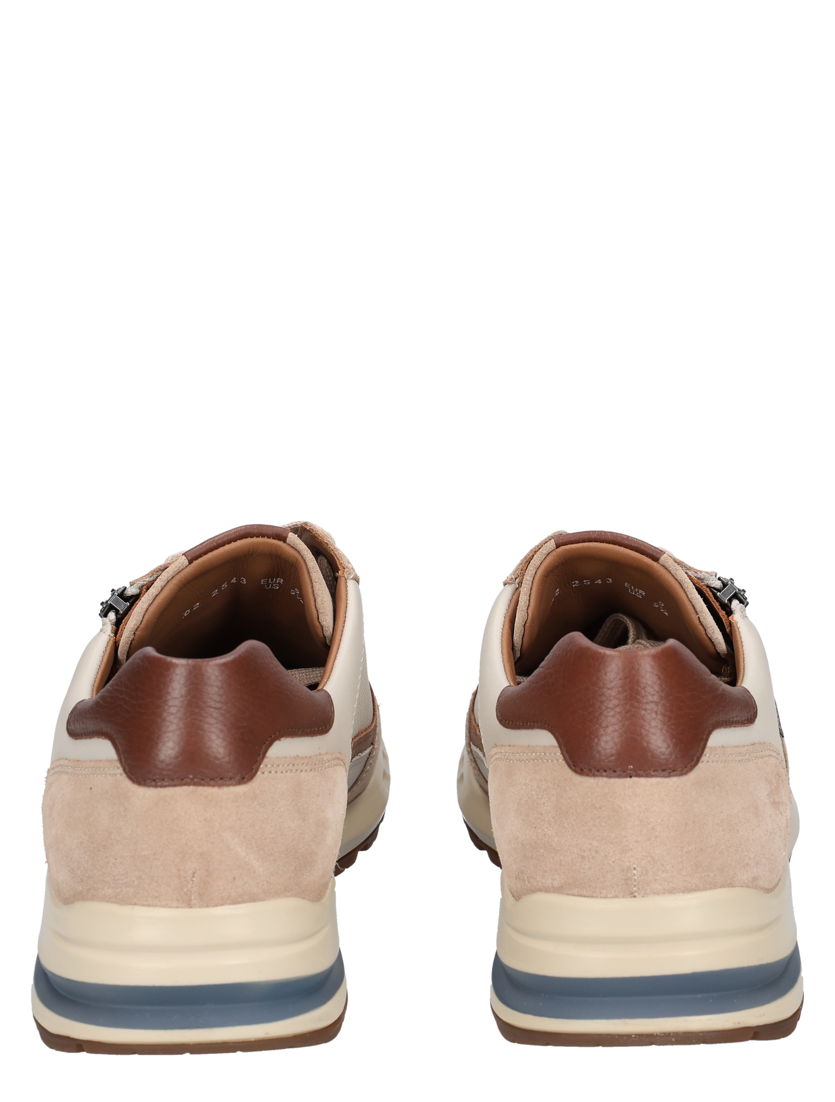 sneaker, hoge enkelband, suède, leder, witte zool