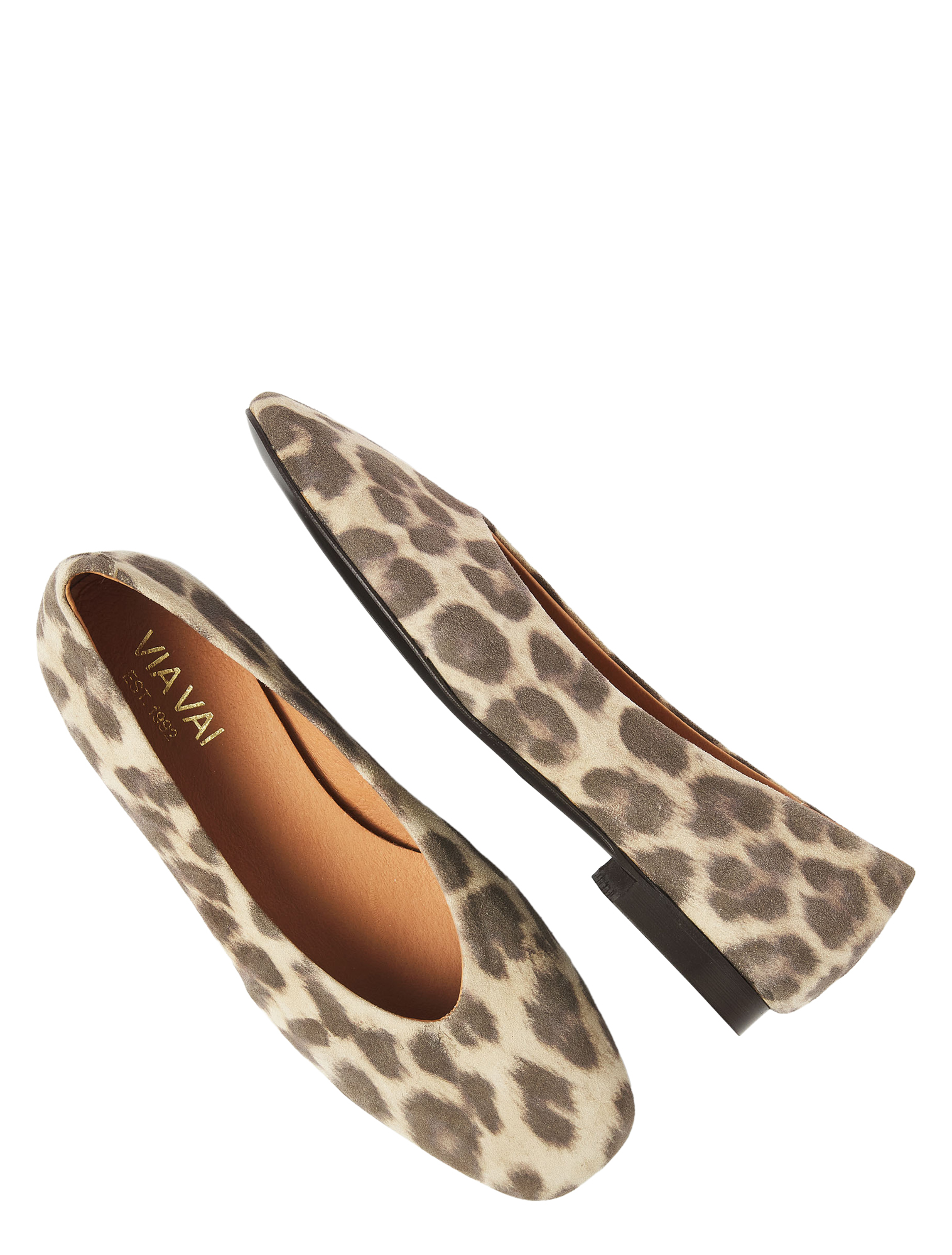 Kleding, Schoeisel, Schoen