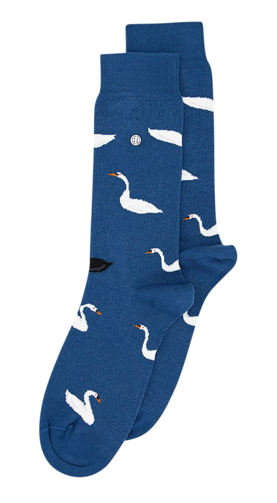 Swan Lake Blue
