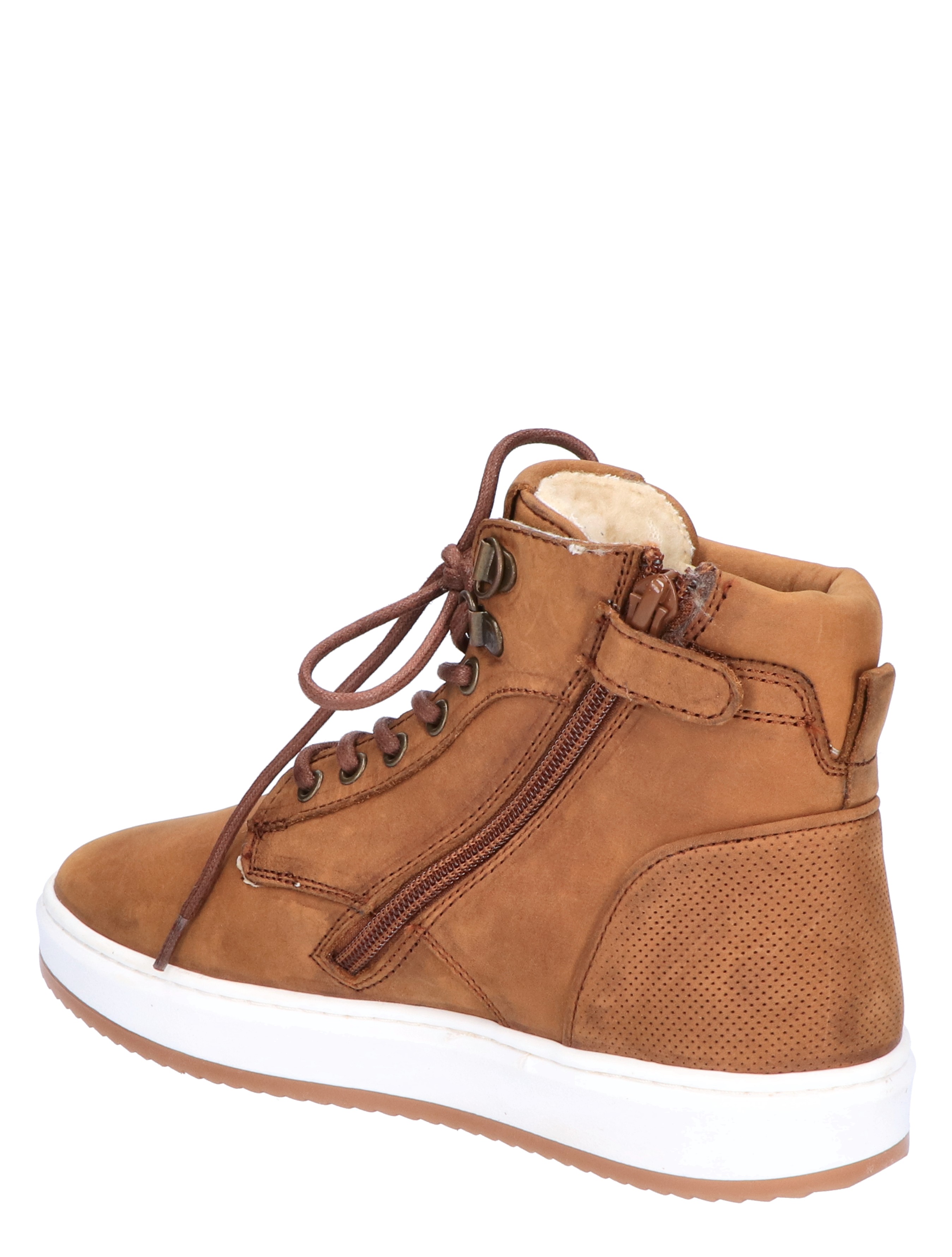 H2239 Natural Combi