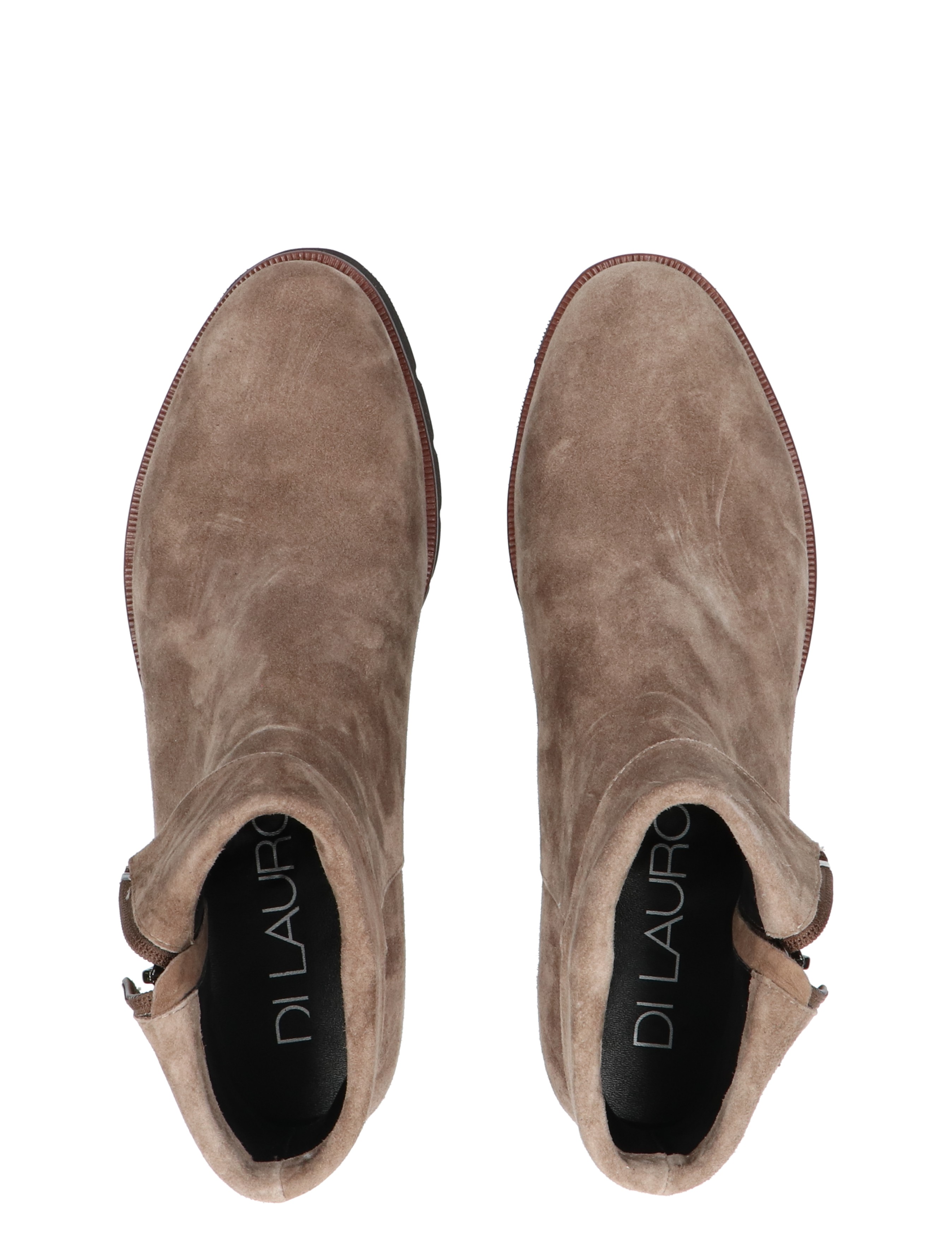 Di Lauro - Nanet Dark Taupe - Dames - Boots - Enkellaarsjes - 46322_77_7