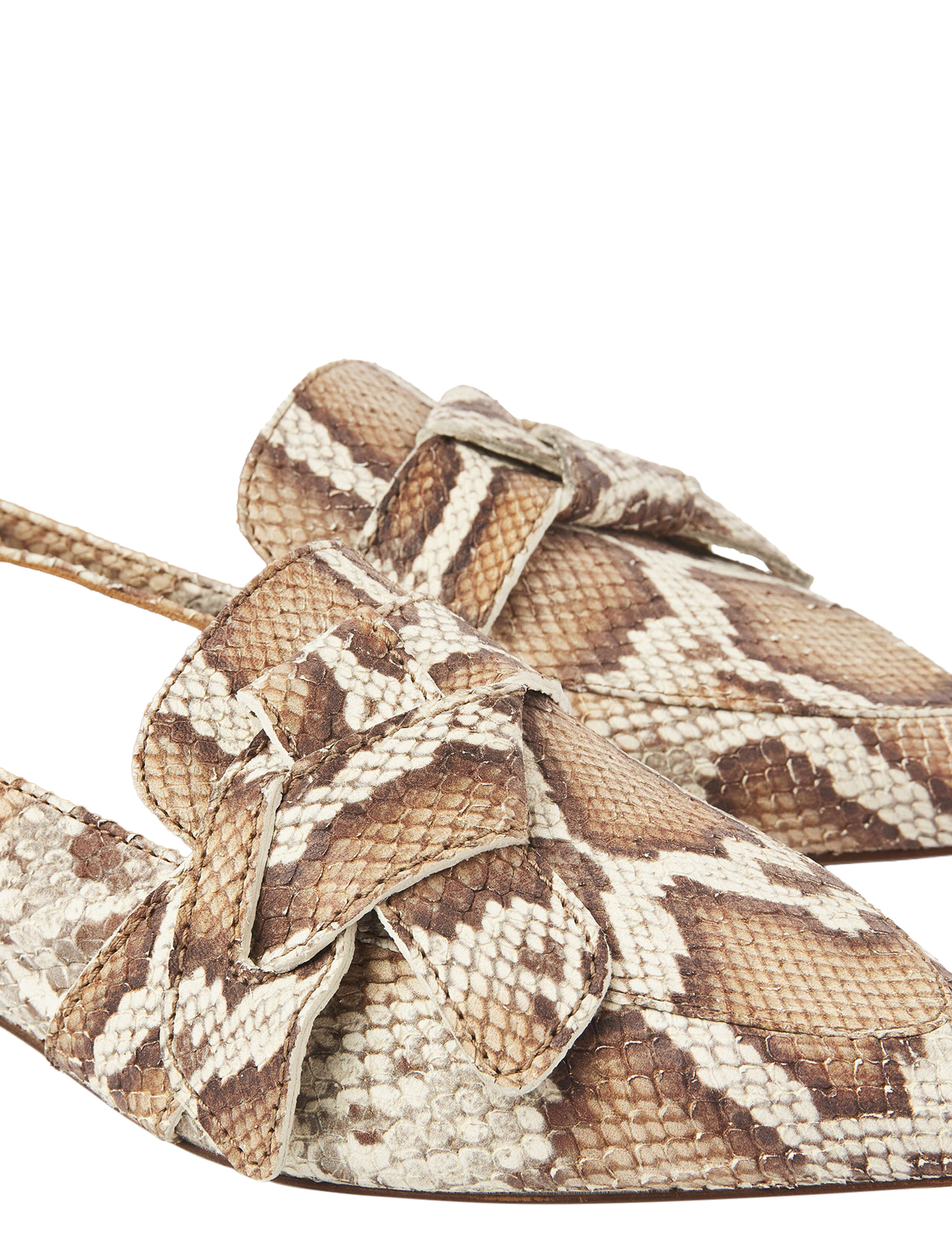 Schoeisel, Sandaal, Dier, Reptiel, Slang