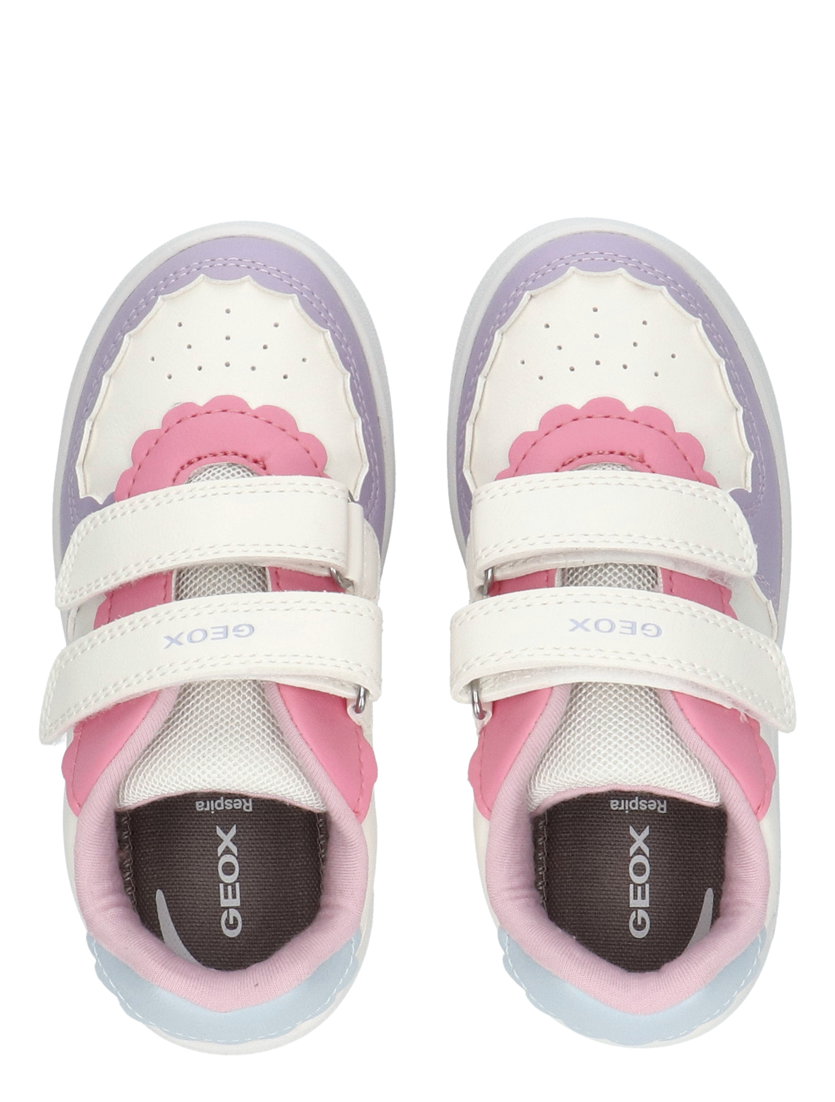 Kleding, Schoeisel, Schoen, Sneaker