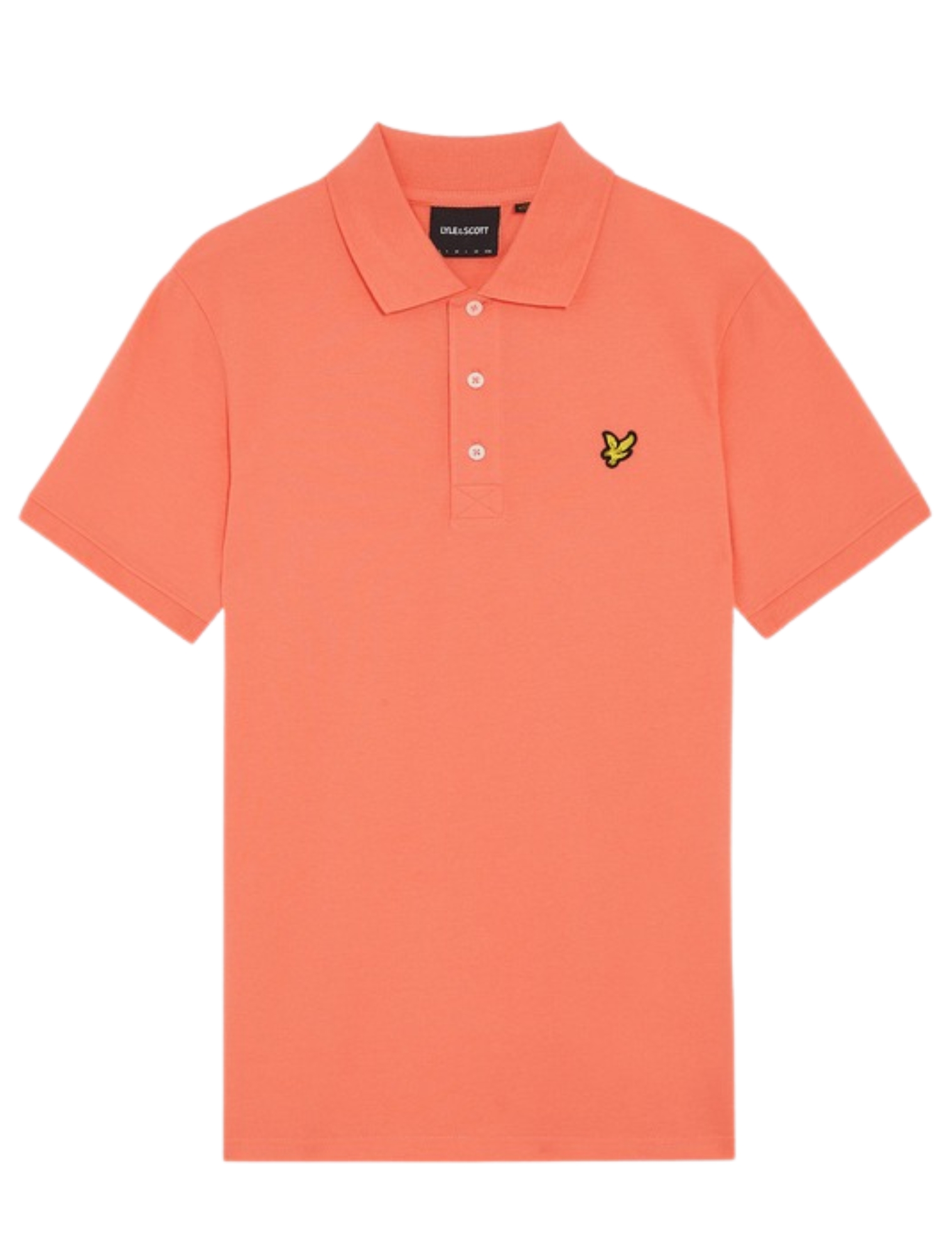 Kleding, T-Shirt, Shirt