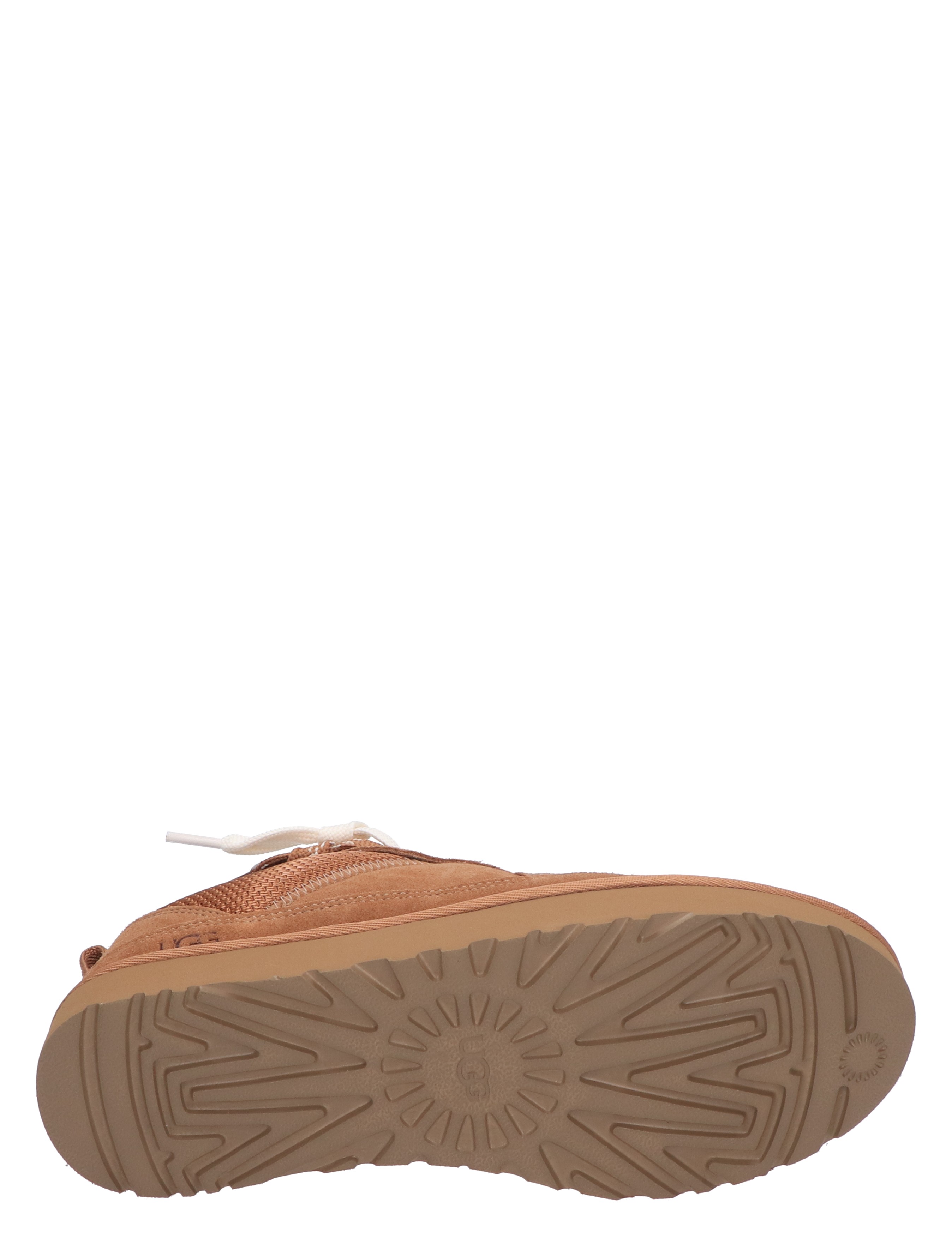 Lo Lowmel Chestnut