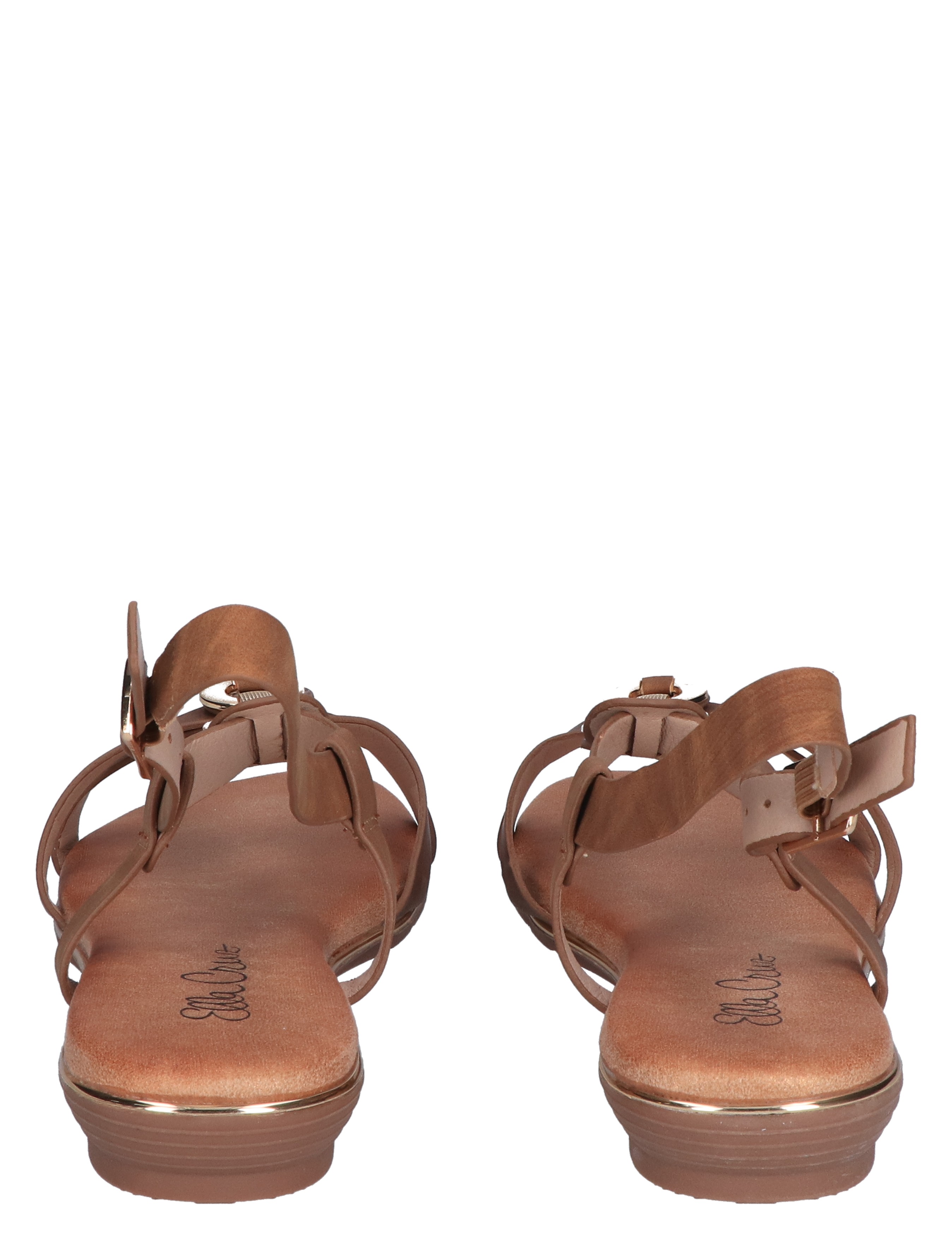 Olga Camel